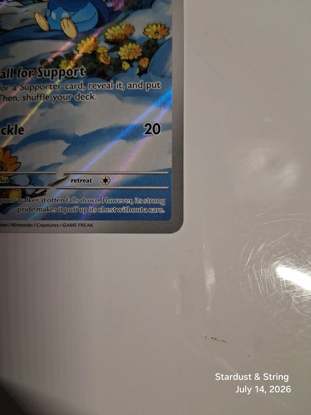 Pokemon Piplup 098/094 Phantasmal Flames Illustration Rare Moderately Played